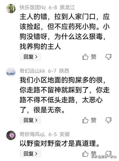 大连毒狗案终审投毒者获刑3年，赔3.1万元？狗咬死人怎么判「男子持刀划伤宠物狗视频」 运程开运